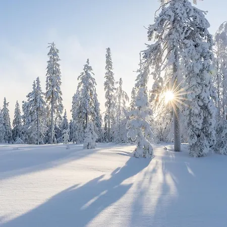 Gailberghoehe Kotschach-Mauthen
